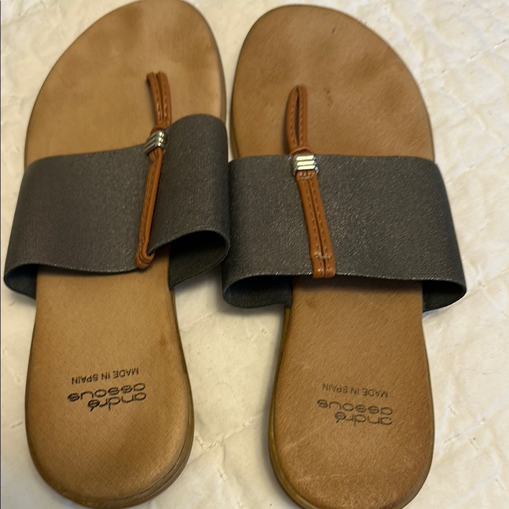Brown and Silver Slide Sandals